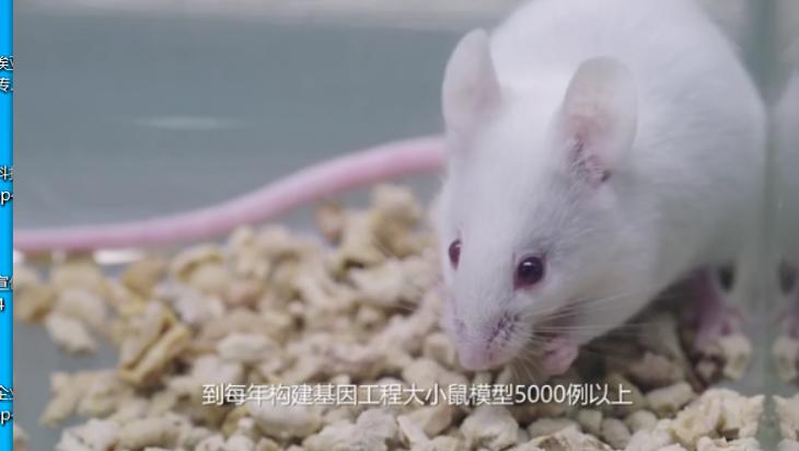 基因檢測宣傳片-生物科技宣傳片-蘇州宣傳片制作